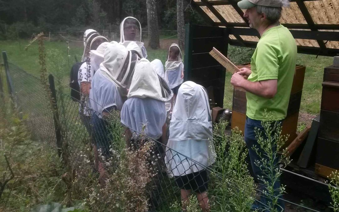 Honigernte mit den Kindern der Naturschule Gütersloh