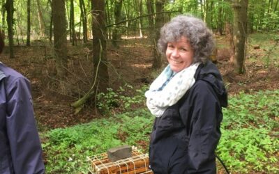 Impressionen vom Dampfwachsschmelzen an unserem Lehrbienenstand